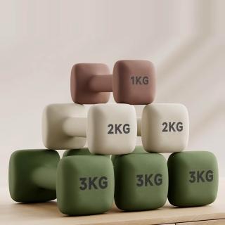 【Michael Fitness 麥克健身】3KG 啞鈴 實心鑄鐵啞鈴 小啞鈴 啞鈴組 健身啞鈴