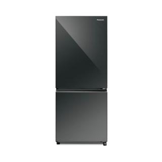 Panasonic 國際牌 NR-B261VG