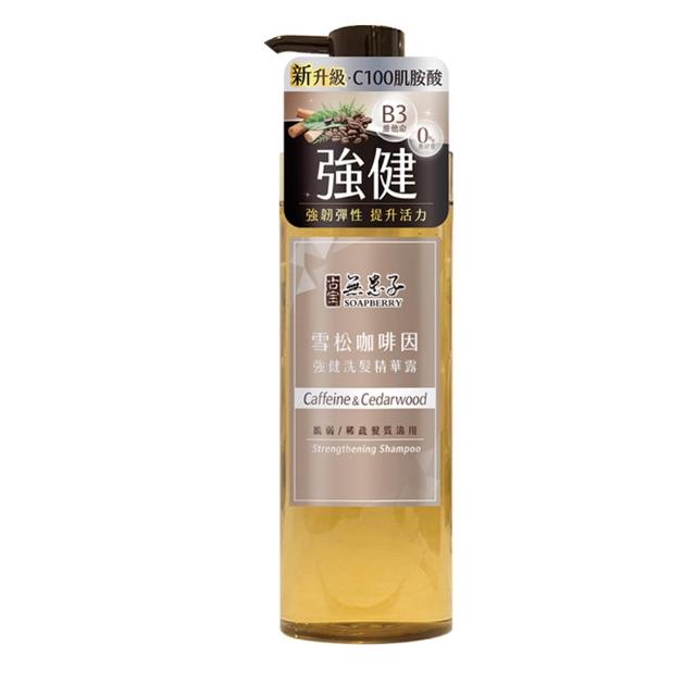 【古寶無患子】髮的能量飲 肌胺酸洗髮精露530g(強健髮根/豐盈髮絲/潤澤柔順/控油去屑/無矽靈)