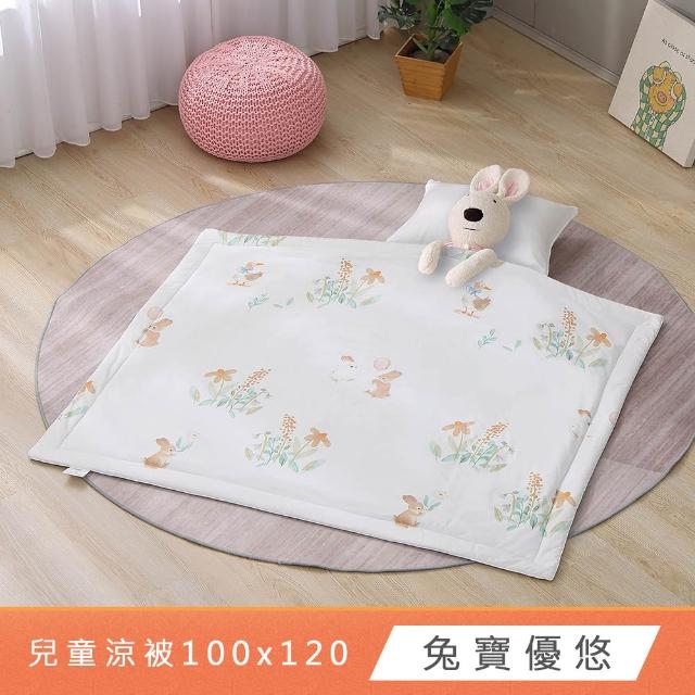 【HongYew 鴻宇】冰紗兒童涼被 極致冰心涼感被-多款任選(冰絲被 冰冰被 午睡被 幼兒園被 兒童被)