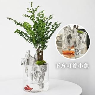 小花器- momo購物網- 好評推薦- 2026年7月