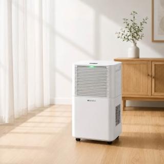 【SANSUI 山水】6L極智淨智控感應負離子除濕機 一級能效 6公升 除溼 除濕 節能 兒童安全 靜音 SDL-PURE66