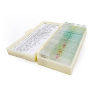 【MICROTECH】切片標本組 B-50P 生物教學精選50片裝(中英對照-繁體中文)