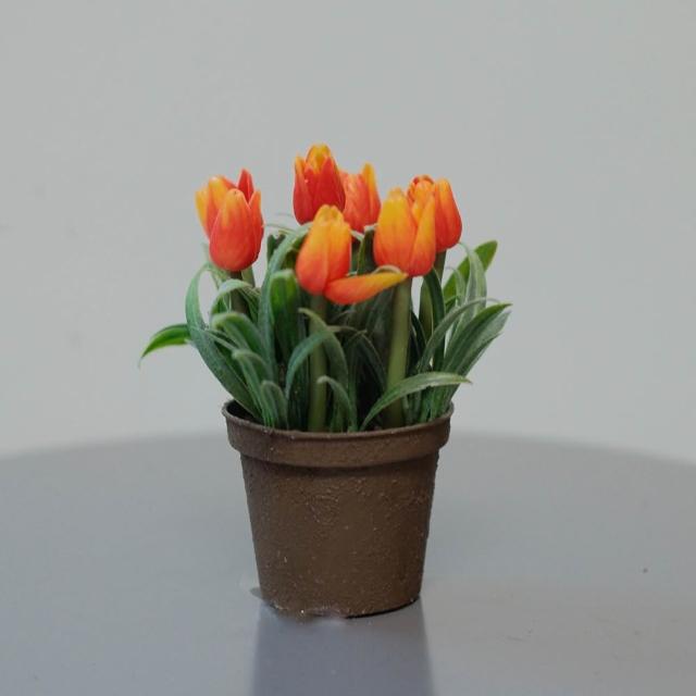 【靚白家居】鬱金香盆景 人造盆栽 (人造花 仿真花 花禮 裝飾花 桌面盆栽 室內佈置 居家裝飾 假花 人造植物)
