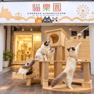 台北貓樂園貓旅館|momo獨家方案★超大挑高獨立空間(假日不加價)